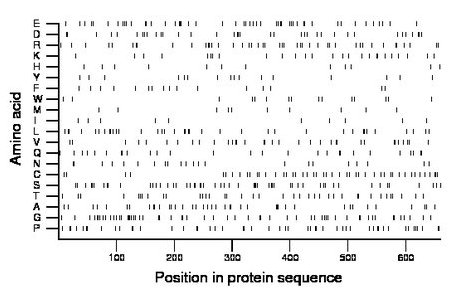 amino acid map