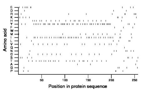 amino acid map