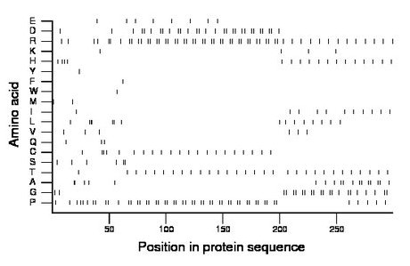 amino acid map