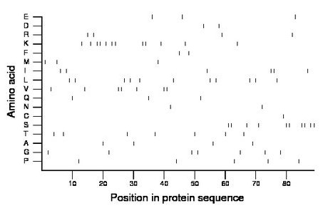 amino acid map