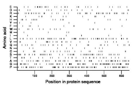 amino acid map