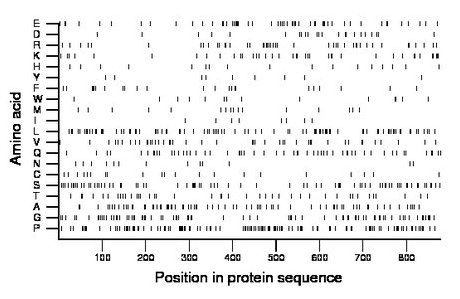 amino acid map