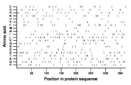 amino acid map