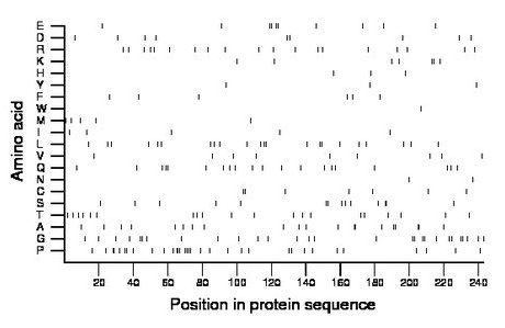 amino acid map