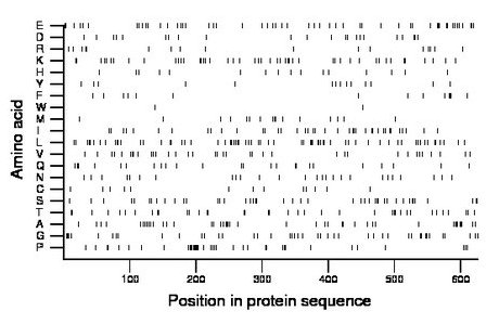 amino acid map