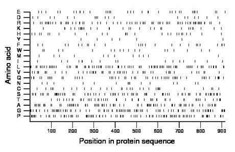 amino acid map