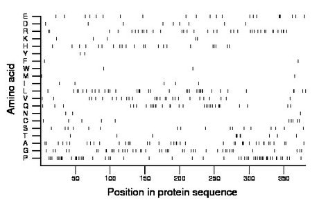 amino acid map