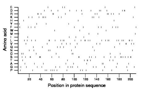 amino acid map