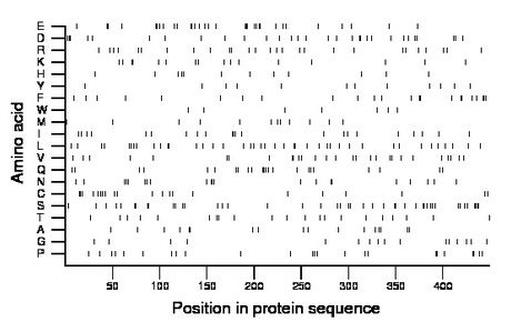 amino acid map