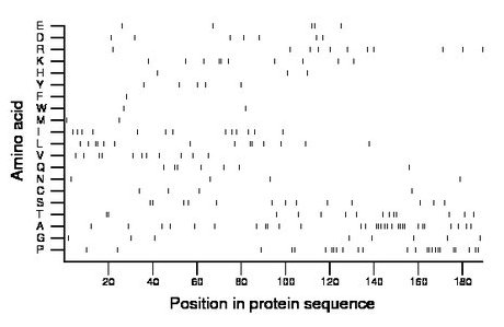 amino acid map