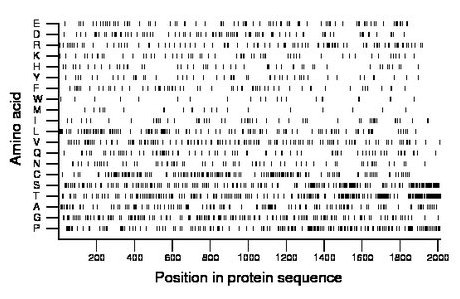 amino acid map