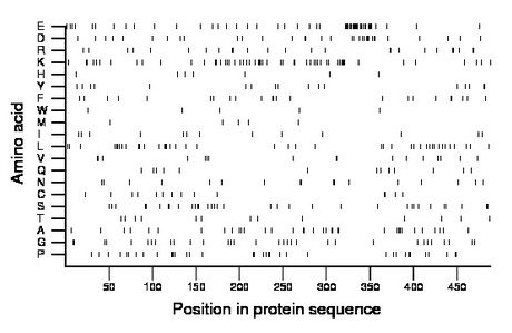 amino acid map