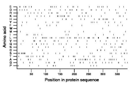 amino acid map