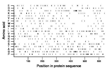 amino acid map