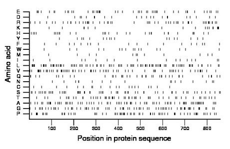 amino acid map