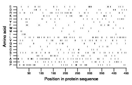 amino acid map