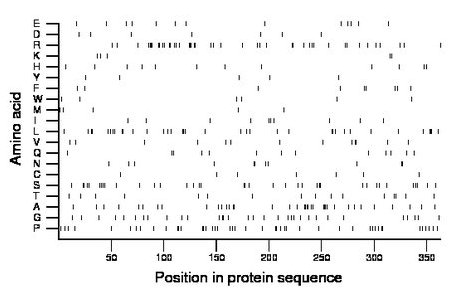 amino acid map