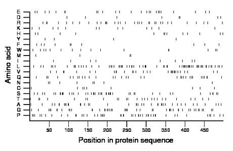 amino acid map