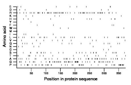 amino acid map