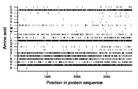 amino acid map