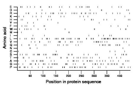 amino acid map