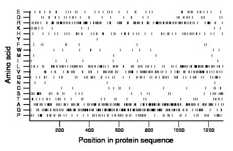 amino acid map