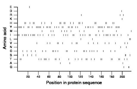 amino acid map