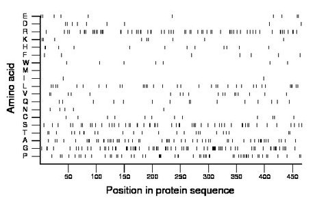 amino acid map