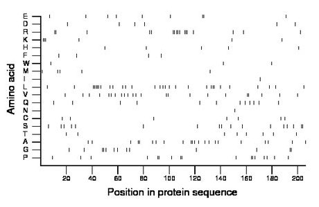 amino acid map