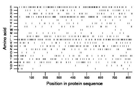 amino acid map