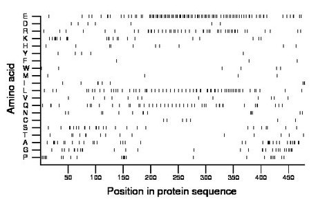 amino acid map