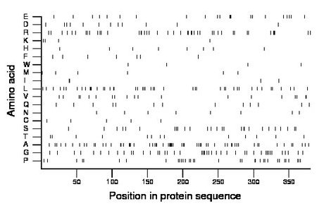 amino acid map