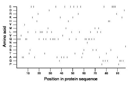 amino acid map