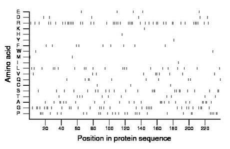 amino acid map