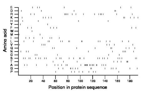 amino acid map