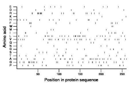 amino acid map