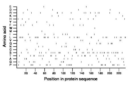 amino acid map