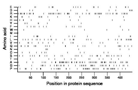 amino acid map