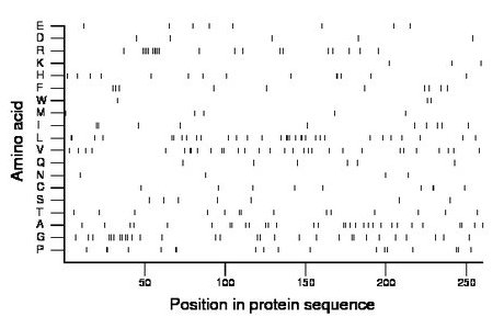 amino acid map