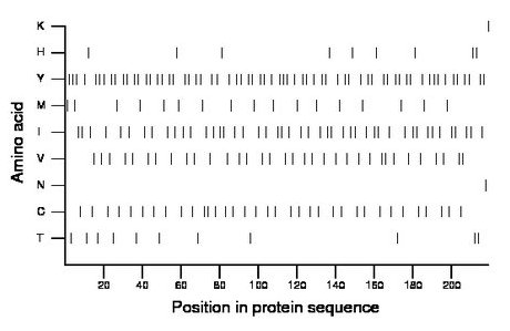 amino acid map