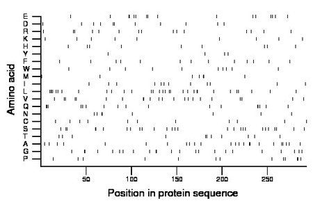 amino acid map