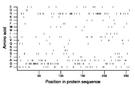 amino acid map