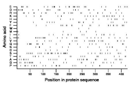 amino acid map