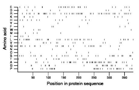 amino acid map