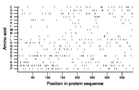 amino acid map