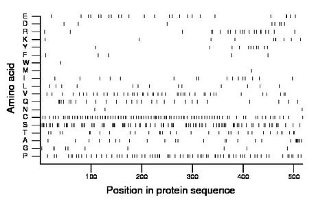 amino acid map