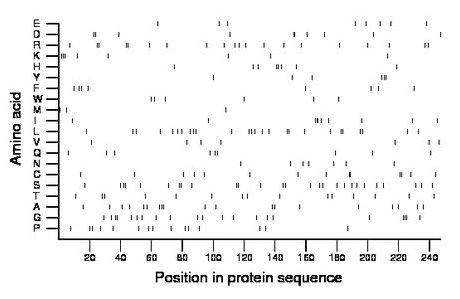 amino acid map