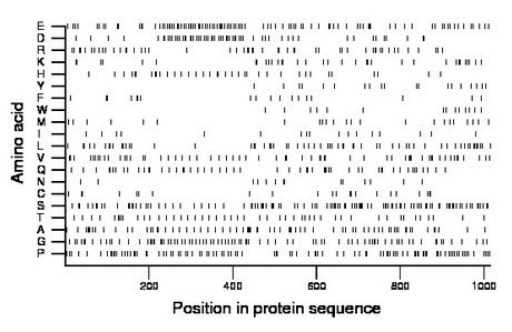 amino acid map