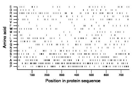 amino acid map