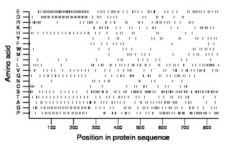 amino acid map